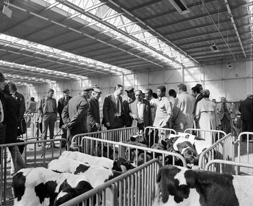 69811 Interieur van de veemarkthallen (Sartreweg 1) met een groepje Nederlandse veehouders met buitenlandse gasten bij ...